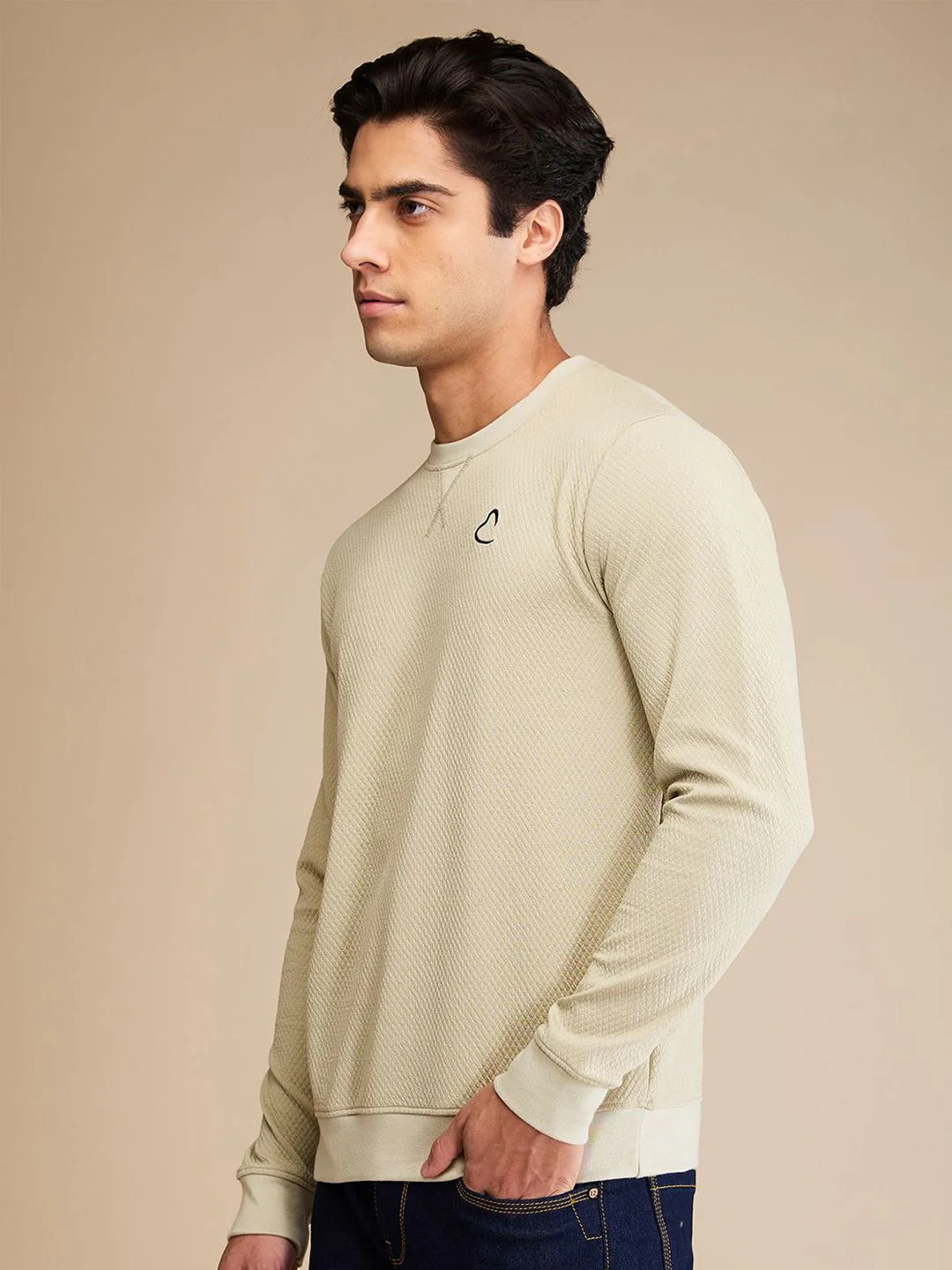 Being Human Men Solid Round Neck Cotton Pullover Sweatshirt - Image 3