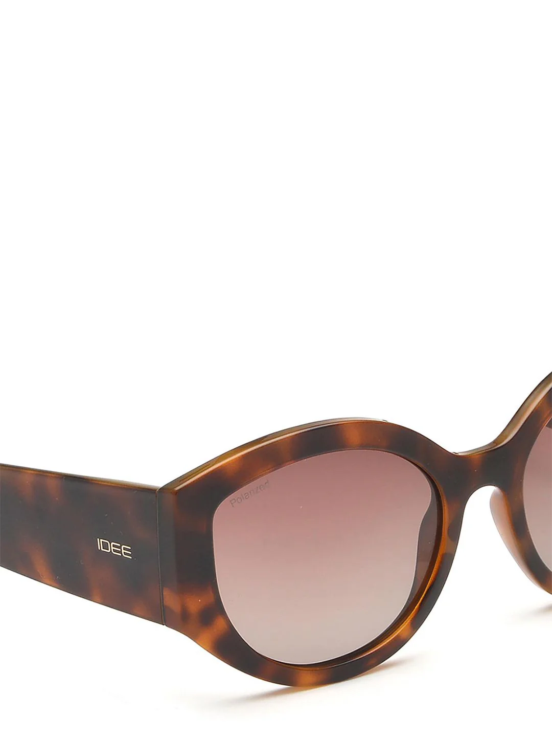IDEE Women Brown Lens & Brown Cateye Sunglasses with UV Protected Lens - Image 6