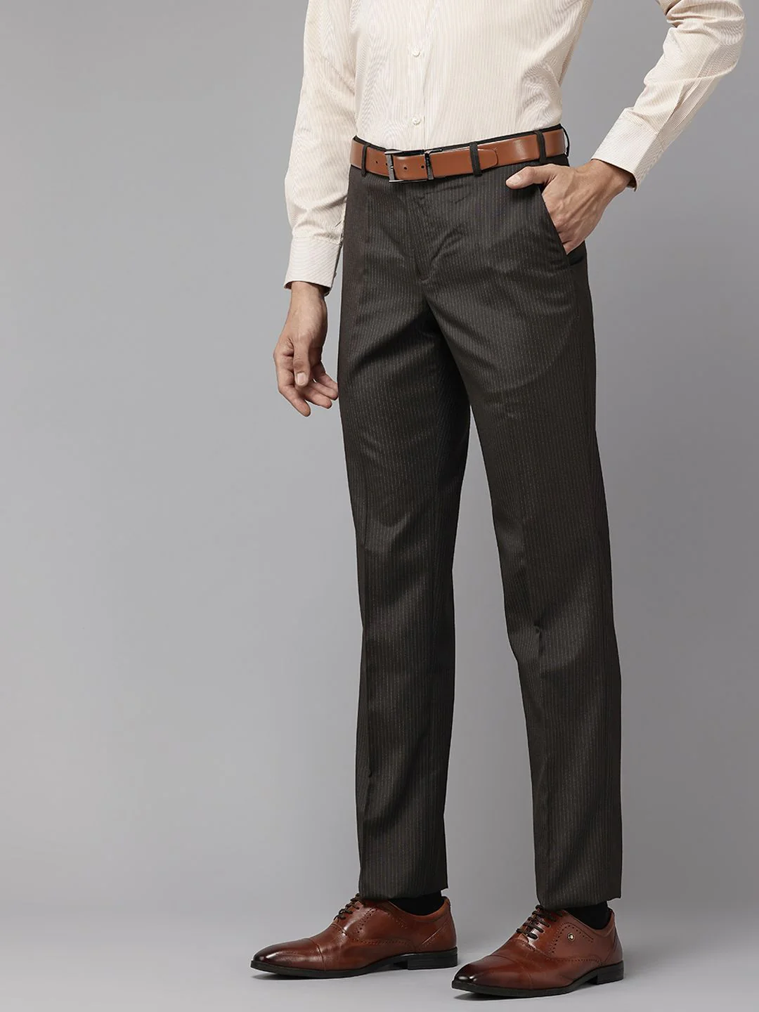 Park Avenue Men Striped Formal Trousers - Image 2