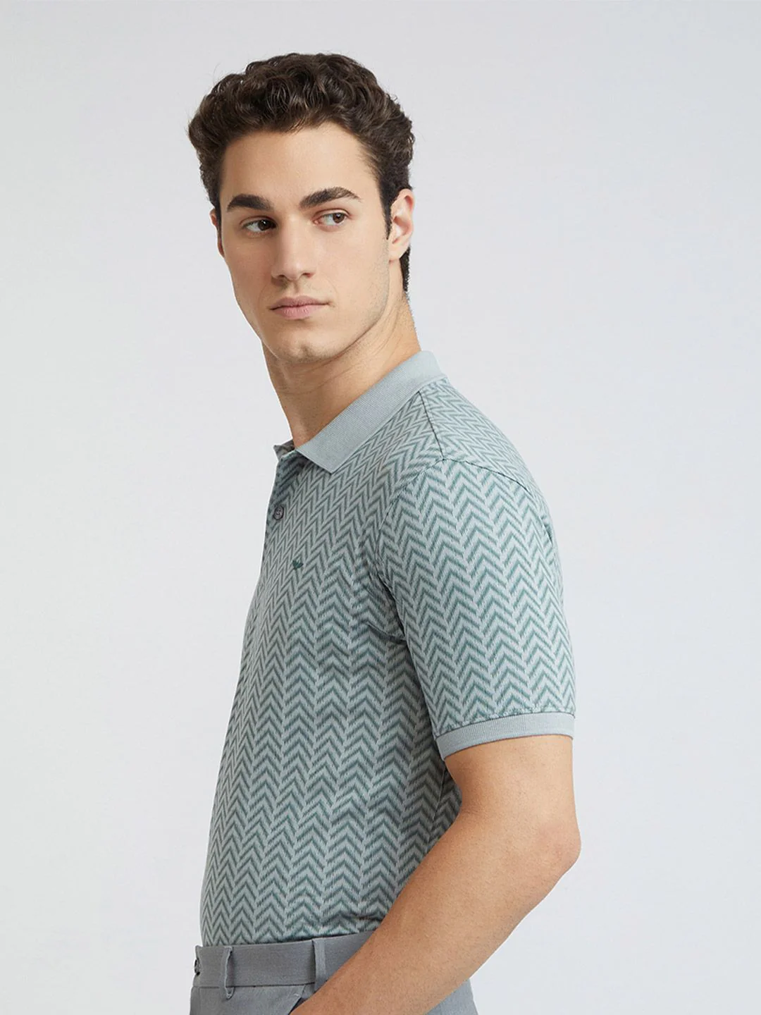 Park Avenue Printed Polo Collar Slim Fit T-shirt - Image 5