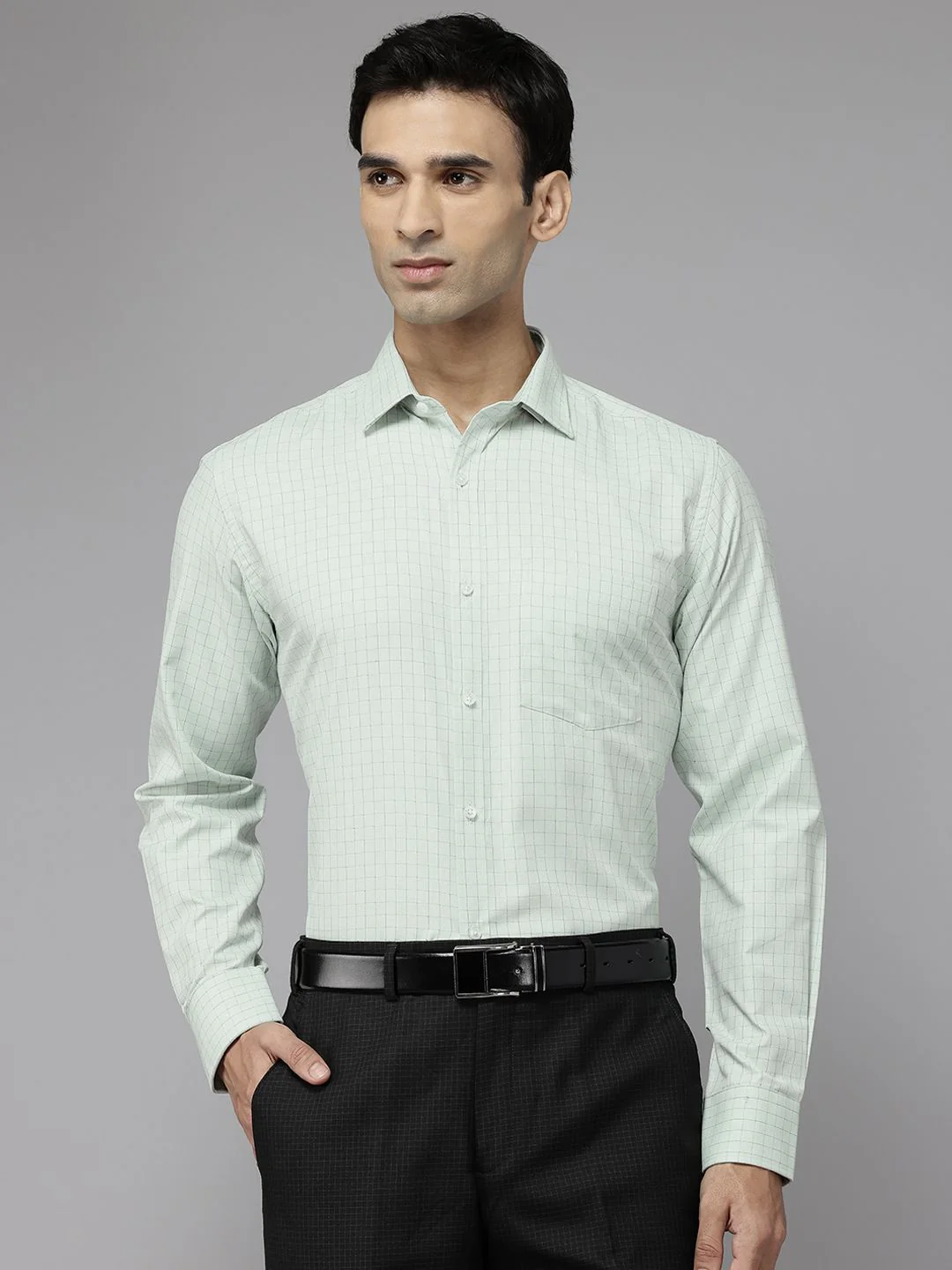 Park Avenue Slim Fit Checked Formal Shirt