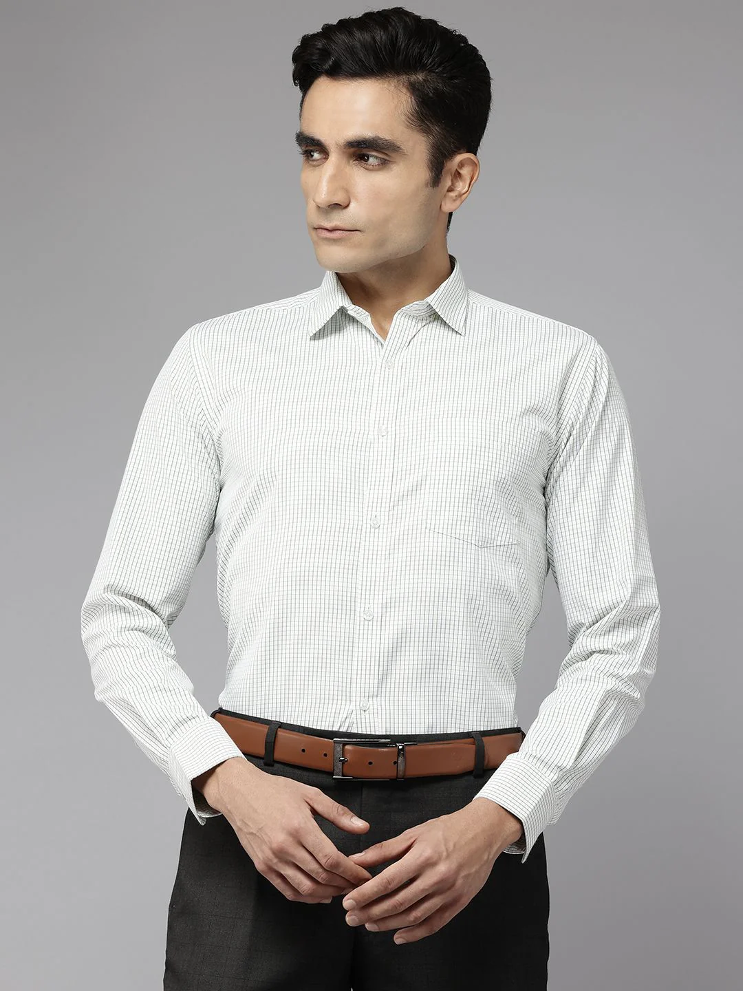 Park Avenue Slim Fit Checked Formal Shirt