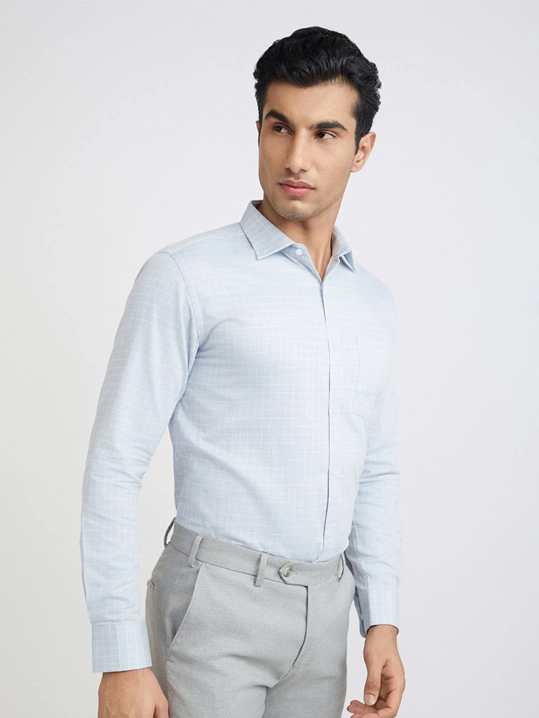 Park Avenue Slim Fit Windowpane Checks Pure Cotton Formal Shirt - Image 3