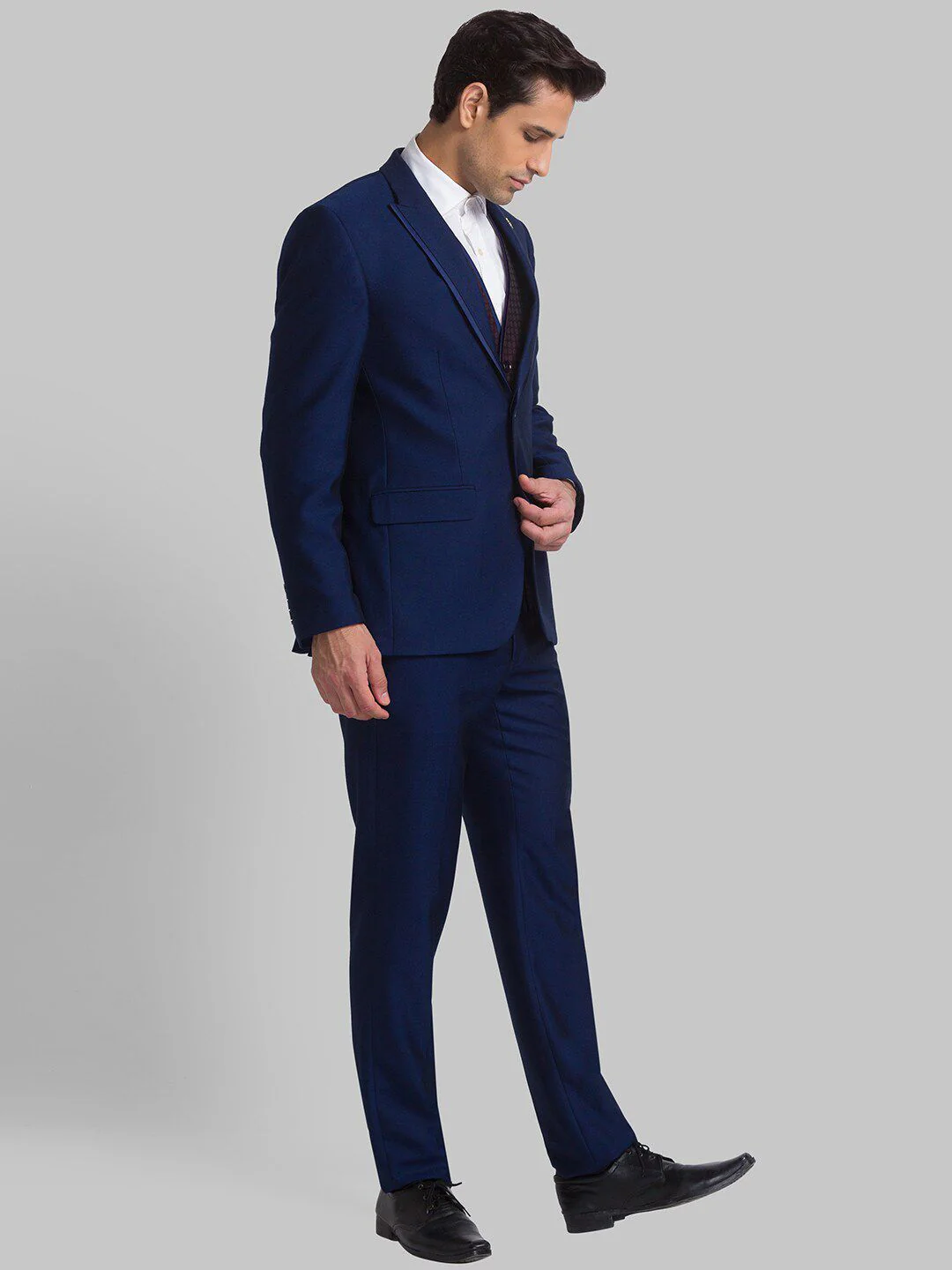 Raymond Men Single-Breasted Three-Piece Formal Suit - Image 3