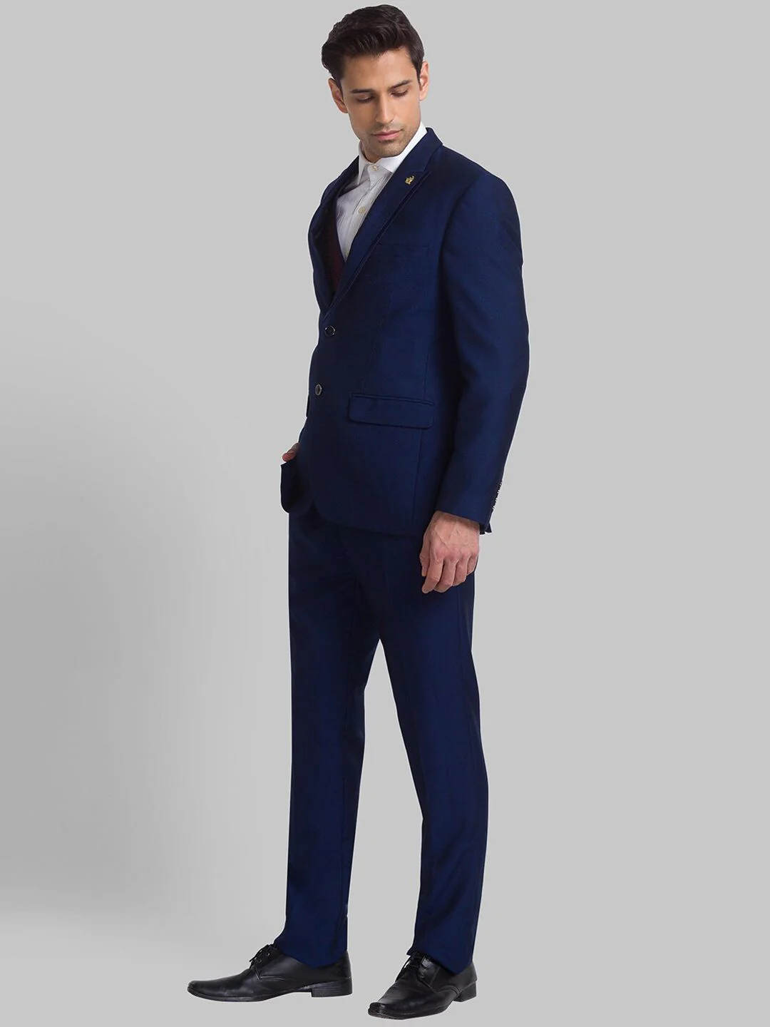 Raymond Men Single-Breasted Three-Piece Formal Suit - Image 5