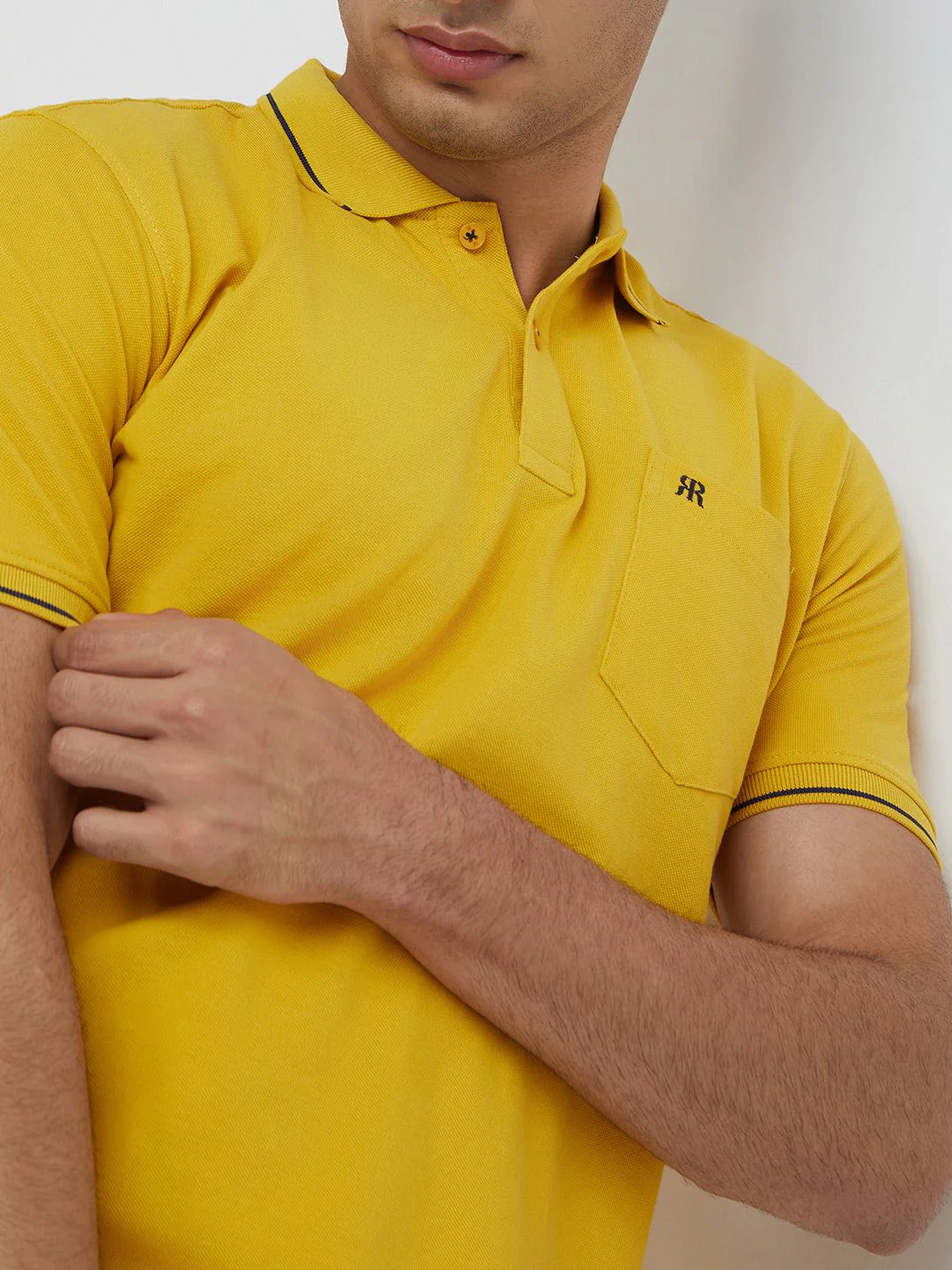 Raymond Pure Cotton Modern Fit Polo Collar T-shirt - Image 2