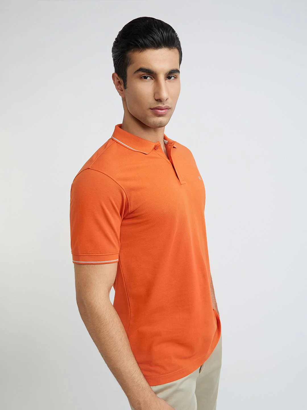 Raymond Pure Cotton Modern Fit Polo Collar T-shirt - Image 3