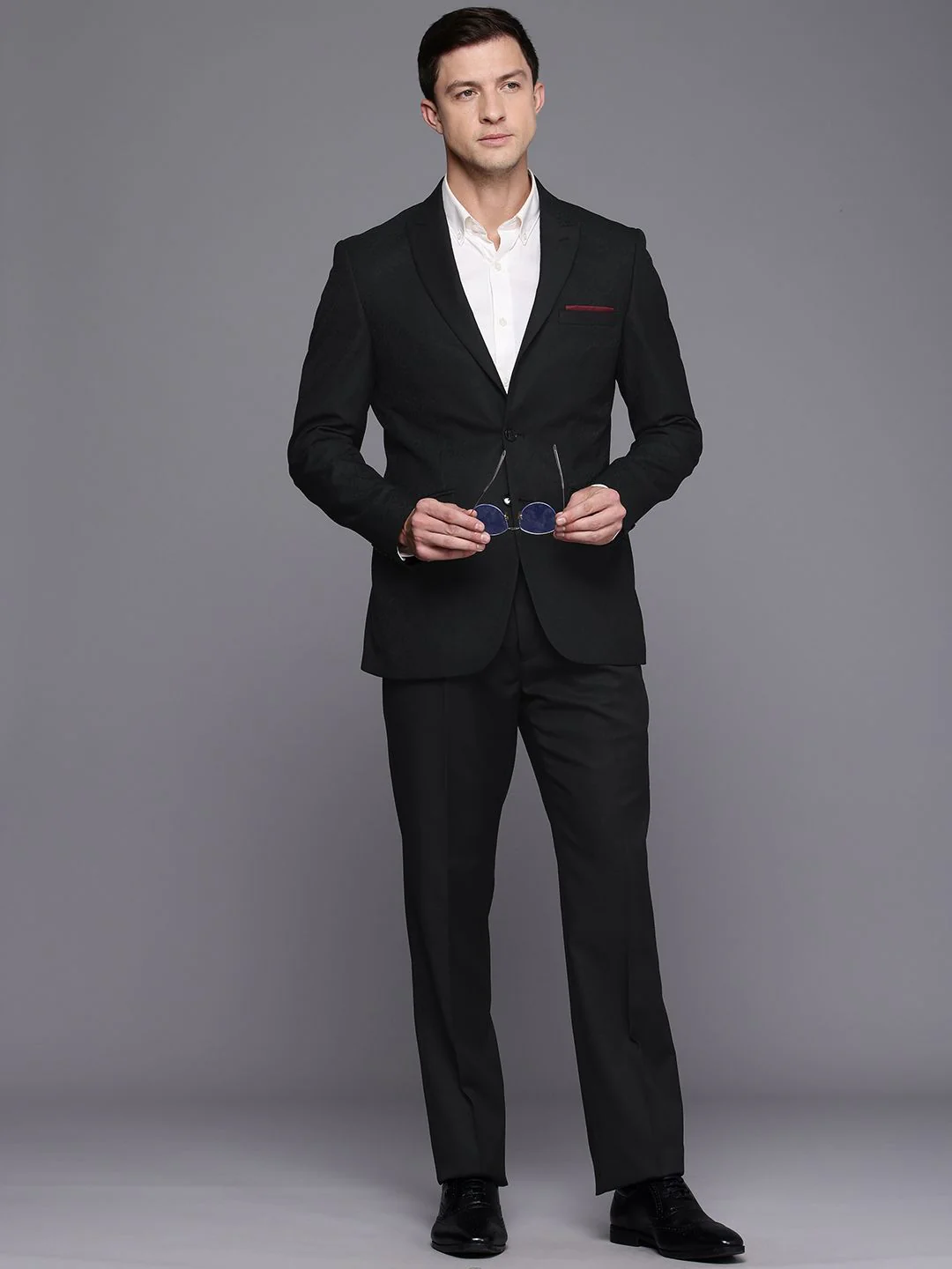 Raymond Self Design Textured Single Breasted Contemporary Fit 2 Piece Formal Suits