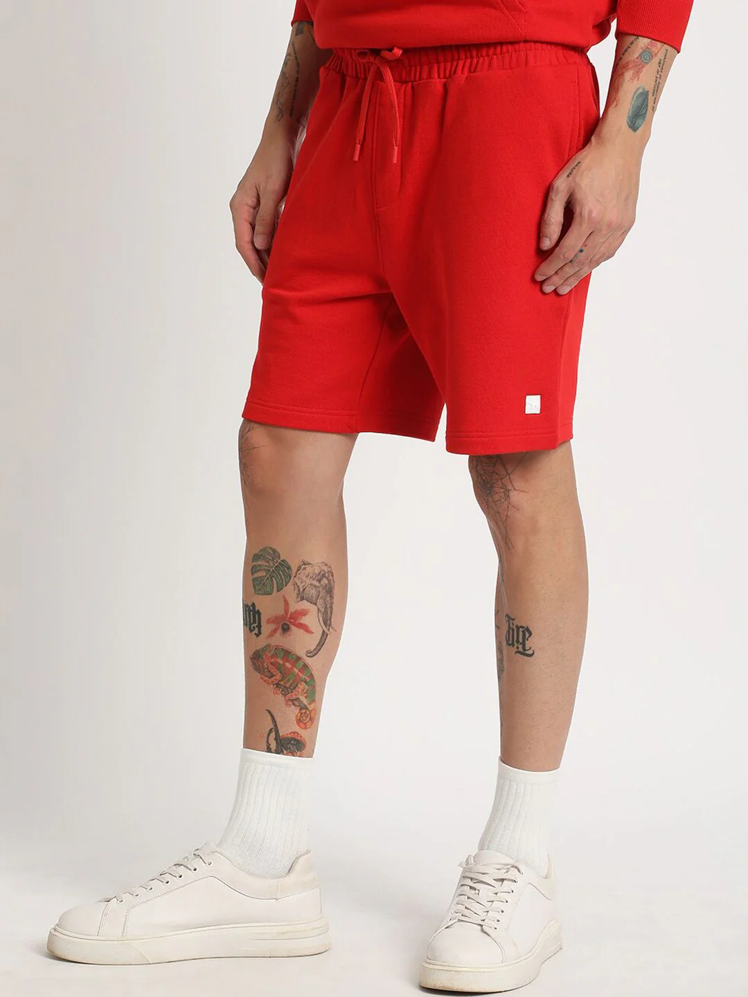 THE BEAR HOUSE Men Regular Fit Mid Rise Cotton Shorts - Image 3