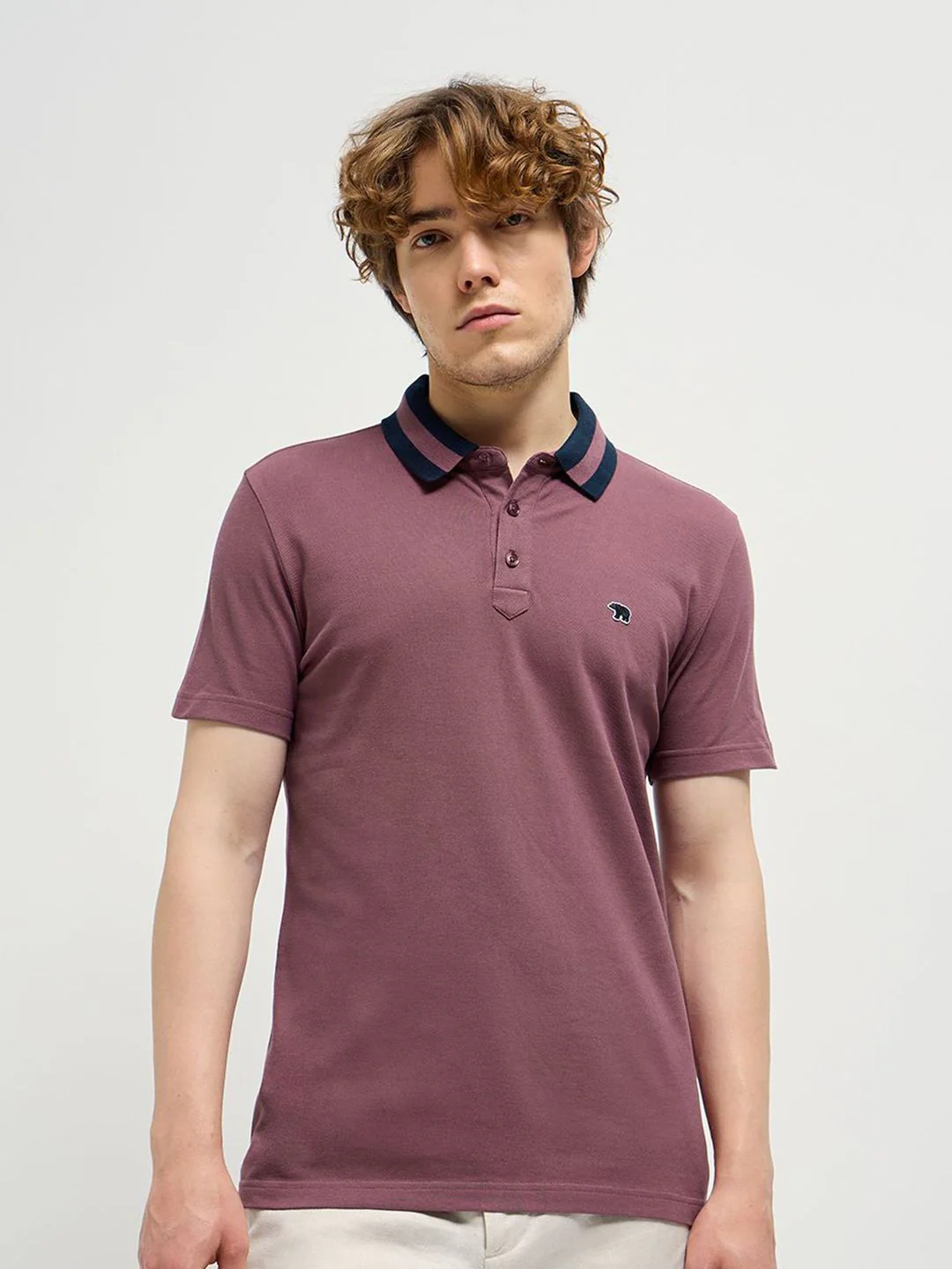 THE BEAR HOUSE Men Solid Polo Collar Pure Cotton T-shirt - Image 2