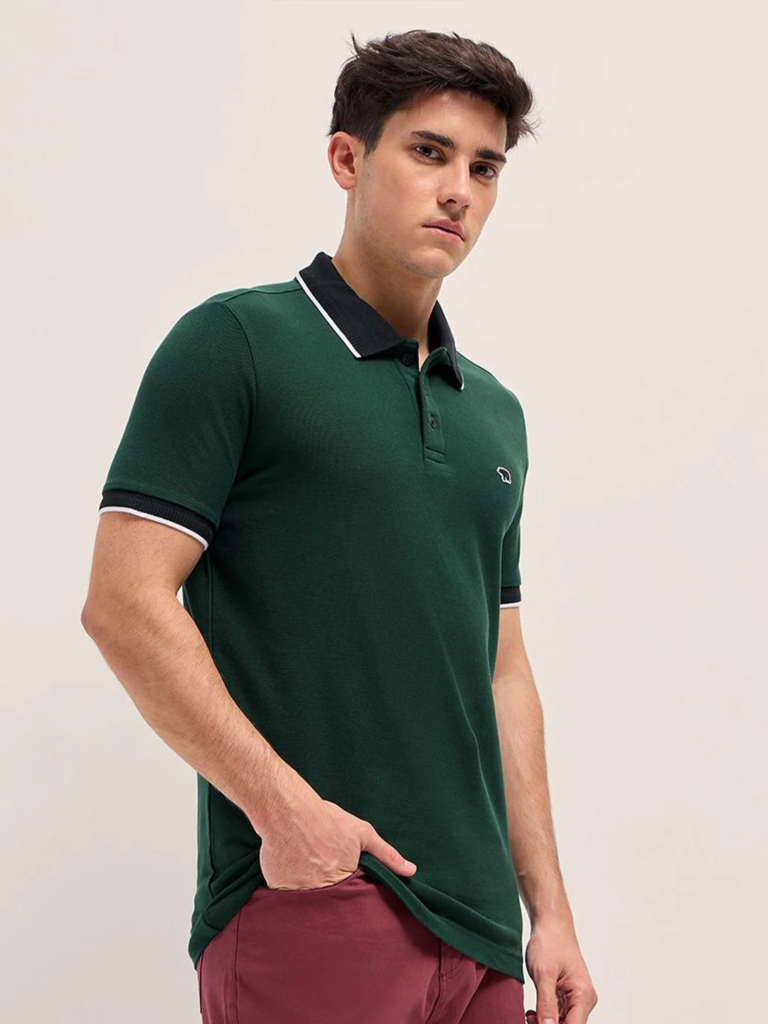 THE BEAR HOUSE Men Solid Polo Collar Cotton T-shirt - Image 5
