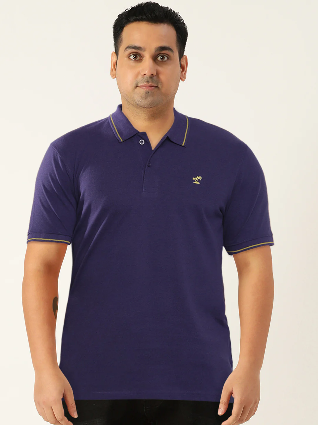 The Indian Garage Co Men Solid Polo Collar T-shirt - Image 12