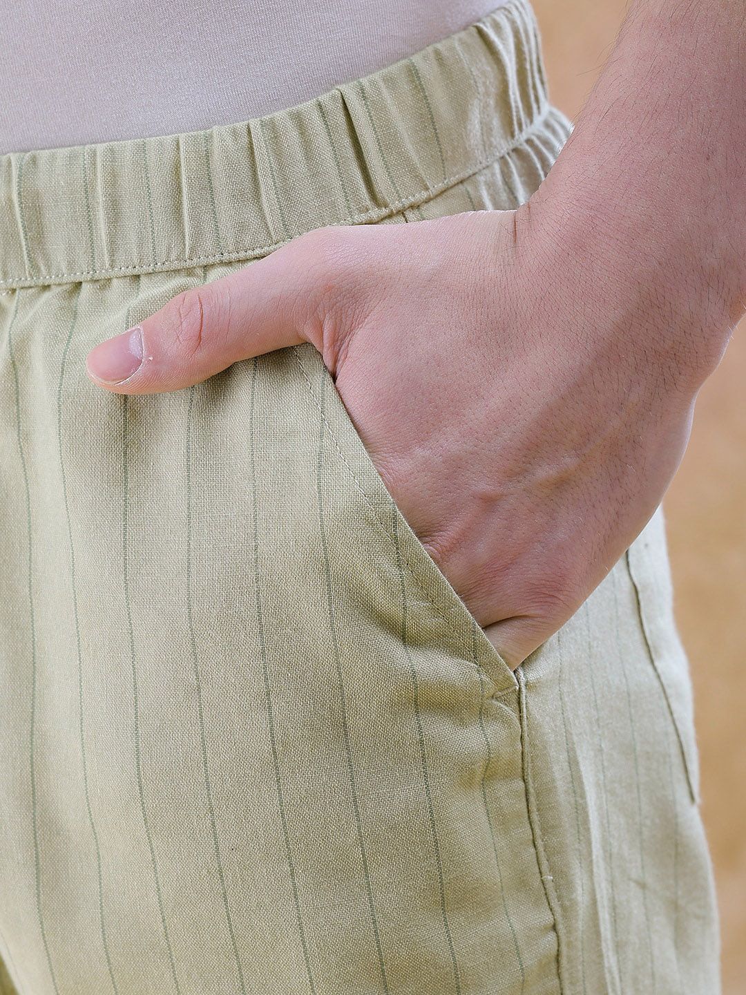 The Indian Garage Co Men Striped Relaxed Fit Mid-Rise Shorts - Image 6
