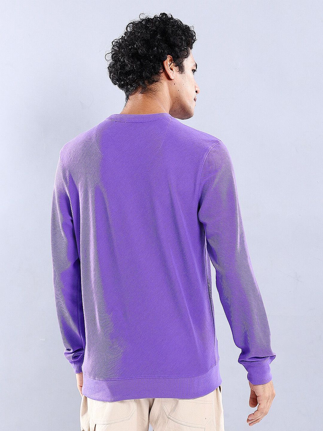 The Indian Garage Co Self Design Textured Long Sleeve Pullover Sweatshirt - Image 5
