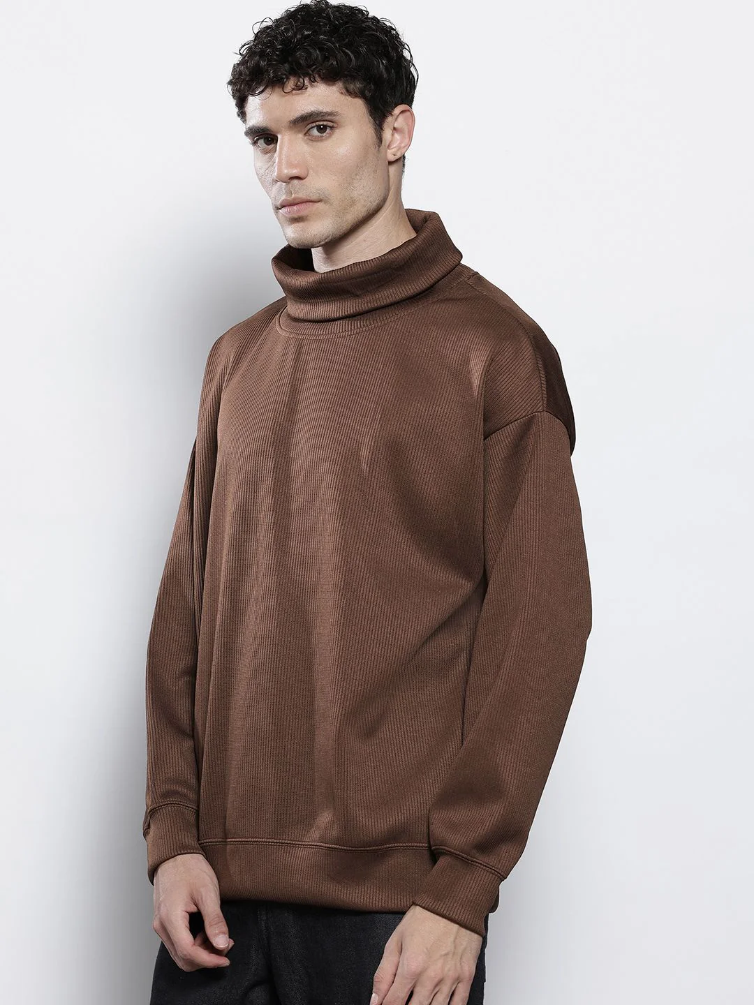 The Indian Garage Co Self Striped Turtle Neck Relaxed Fit Sweatshirt - Image 5
